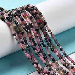 Natural Tourmaline Beads Strands&nbsp;G-P500-01A-01