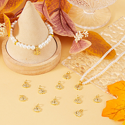 12Pcs Brass Micro Pave Cubic Zirconia Charms&nbsp;ZIRC-BBC0002-78