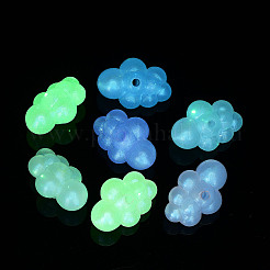 Transparent Acrylic Beads&nbsp;OACR-Z013-02B