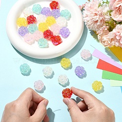 30個 6色UVメッキ不透明アクリルビーズ  花  虹色の  ミックスカラー  19x19.5x9.5mm  穴：2.8mm  5個/カラー&nbsp;AC-YW9D8D-03