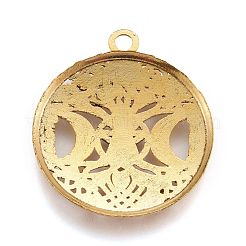 Tibetan Style Hollow Alloy Pendants&nbsp;TIBEP-F075-01AG-RS