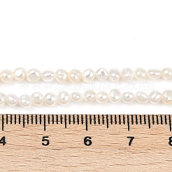 天然養殖淡水パールビーズ連売り  研磨両側  グレード6a+  貝殻色  2~3mm  穴：0.5mm  約113個/連  14.17~14.41''（36~36.6センチメートル）&nbsp;PEAR-P064-19A-12A