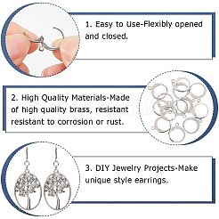 304 Stainless Steel Leverback Earring Findings&nbsp;STAS-SP0001-02A