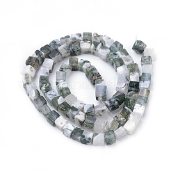 天然石ツリーアゲート瑪瑙ビーズ連売り  キューブ  4~5x4~5x4~5mm  穴：1mm  約80~82個/連  14.9インチ&nbsp;G-R451-02