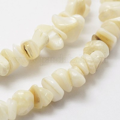 Natural Shell Beads Strands&nbsp;G-F328-45-1