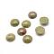 Natural Unakite Gemstone Cabochons, Half Round, 6x3mm