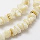 Natural Shell Beads Strands&nbsp;G-F328-45-3