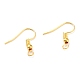Iron Earring Hooks&nbsp;X-E135-NFG-1