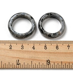 天然ラブラドライトプレーンバンドリング  女性のためのアクセサリー用原石のアクセサリー  6~7mm  内径：17~20mm&nbsp;RJEW-P044-01C-01