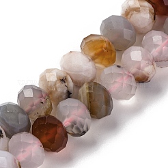 Natural Cherry Blossom Agate Beads Strands&nbsp;G-K380-A42-03