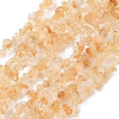 Natural Citrine Beads Strands&nbsp;GG-CBAAEDE-A01-B
