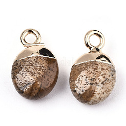 Natural Picture Jasper Charms&nbsp;G-N326-58D