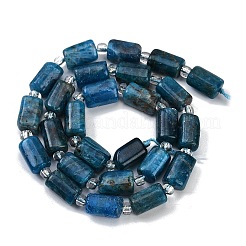 Natural Apatite Beads Strands&nbsp;G-G162-D10-01
