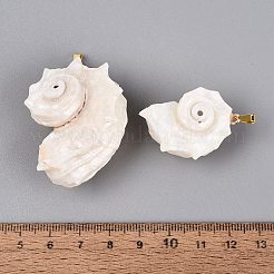 Iron & Natural Spiral Shell Pendants&nbsp;SHEL-Q029-15KCG