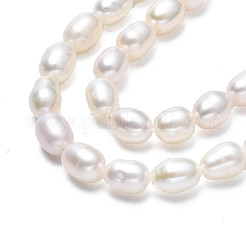 Natural Cultured Freshwater Pearl Beads Strands&nbsp;PEAR-N012-04C