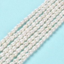 Natural Cultured Freshwater Pearl Beads Strands&nbsp;PEAR-E016-146