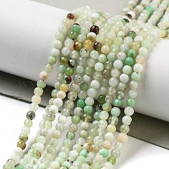Natural Serpentine Beads Strands&nbsp;G-G161-D24-01