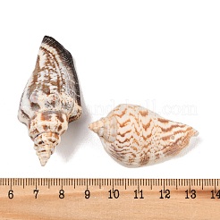 天然巻き貝の殻ビーズ  ゴールデンロッド  30~55x20~35mm  穴：1~2mm  約60~90個/500g&nbsp;BSHE-O007-57