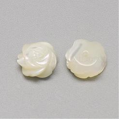 Natural White Shell Mother of Pearl Shell Cabochons&nbsp;SSHEL-R042-11