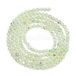 Natural Prehnite Beads Strands&nbsp;G-C255-B03-2mm