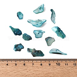染色天然真珠母貝ナゲットチップビーズ  ライトシーグリーン  5~18x5~11mm  穴：1.2mm  約1980個/500g&nbsp;BSHE-O007-10A