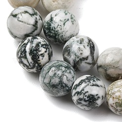 Natural Tree Agate Beads Strands&nbsp;G-T150-A09-12mm