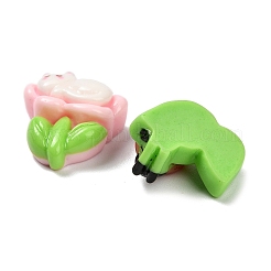 Opaque Resin Cabochons&nbsp;RESI-I068-03