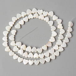 Natural Freshwater Shell Beads Strands&nbsp;SHEL-N026-71