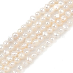 天然養殖淡水パールビーズ連売り  研磨両側  グレード6a+  貝殻色  2~3mm  穴：0.5mm  約113個/連  14.17~14.41''（36~36.6センチメートル）&nbsp;PEAR-P064-19A-12A
