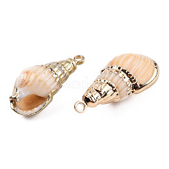 電気メッキ巻き貝ペンダント  鉄パーツ  ライトゴールド  貝殻色  18~25x8~11x7~10mm  穴：1.8mm&nbsp;SSHEL-T006-12