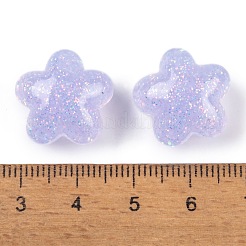 Transparent Epoxy Resin Decoden Cabochons&nbsp;CRES-P035-09C