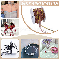 15M Polyester Lace Ribbon&nbsp;OCOR-WH0609-088A