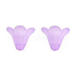 Frosted Acrylic Beads&nbsp;PL692-5