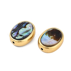 天然パウアシェルビーズ  真鍮エッジ付き  ゴールドカラー  オーバル  17x13x5.8mm  穴：1.7mm&nbsp;SSHEL-M024-03B-G