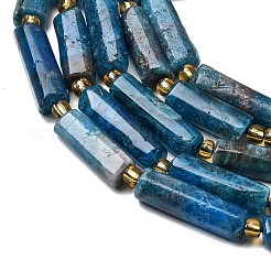 天然石アパタイトビーズ連売り  コラム  シードビーズで  14~30x6.5~7.5x6.5~7.5mm  穴：1mm  約13~15個/連  15.87''（40.3cm）〜16.06''（40.8cm）&nbsp;G-D353-A02