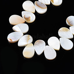 Natural Freshwater Shell Beads Strands&nbsp;SHEL-Q024-008