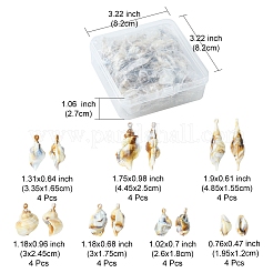 28個7スタイルアクリルパーツ  天然石風  ほら貝と渦巻貝  ミックスカラー  19.5~44.5x12~25x10~16mm  穴：1.5~1.8mm  4個/スタイル&nbsp;OACR-FS0001-17