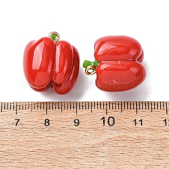 Imitation Vegetable Resin Pendants&nbsp;RESI-K033-03A-03