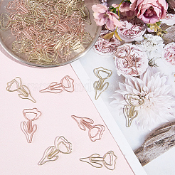 60Pcs 2 Colors Iron Paperclips&nbsp;OFST-SP0001-06