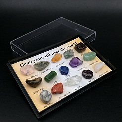 天然石ナゲットコレクション  地球科学教育用  箱：85x60x13ミリ  宝石：8~14x5~8mm  15個/箱&nbsp;G-F734-02