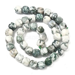 Natural Tree Agate Beads Strands&nbsp;G-C267-A18