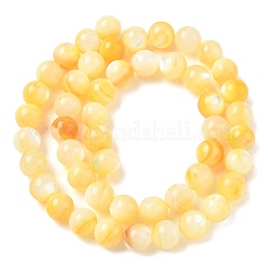 天然な黄色のシェルビーズ連売り  スムーズなラウンド  ゴールド  8mm  穴：1mm  約49個/連  14.96インチ（38cm）&nbsp;SH-CBACA76-16B