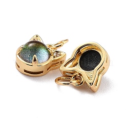 Brass Cubic Zirconia Charms&nbsp;ZIRC-H122-05G
