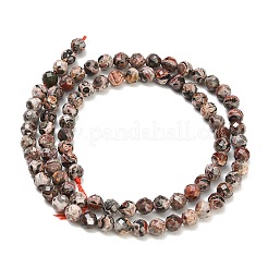Natural Leopard Skin Jasper Beads Strands&nbsp;GG-CBA3921-A02-4mm