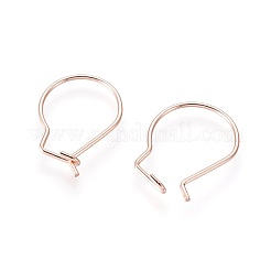 304 Stainless Steel Hoop Earrings Findings&nbsp;STAS-H436-02RG