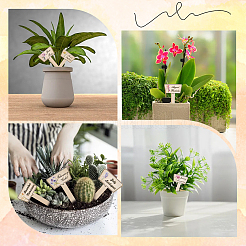 2 Bags Wooden Plant Labels&nbsp;DIY-CP0012-70