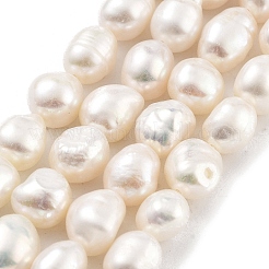 Natural Cultured Freshwater Pearl Beads Strands&nbsp;PEAR-P062-26G
