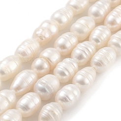 Natural Cultured Freshwater Pearl Beads Strands&nbsp;PEAR-P062-09A