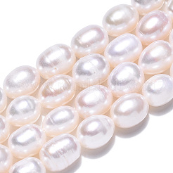 天然養殖淡水パールビーズ連売り  ライス  貝殻色  9.7~11.5x8.3~9mm  穴：0.7~0.8mm  約17~18個/連  7.09インチ（18cm）&nbsp;PEAR-N012-08J