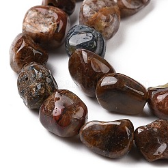 天然ピーテルサイトビーズ連売り  ナゲット  9~13.5x8~9.5x4~8mm  穴：0.8mm  約42~43個/連  15.35~15.94''（39~40.5センチメートル）&nbsp;G-A208-07